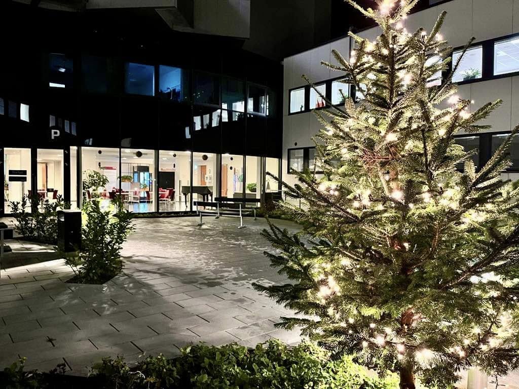 Jul i Grønnegården.jpg